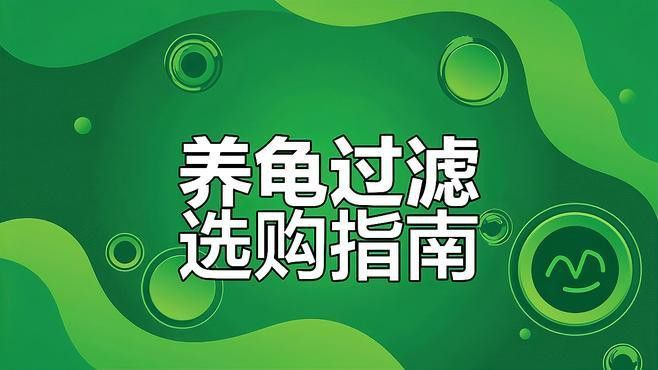 有哪些品牌過濾器適合龜增色龍魚？