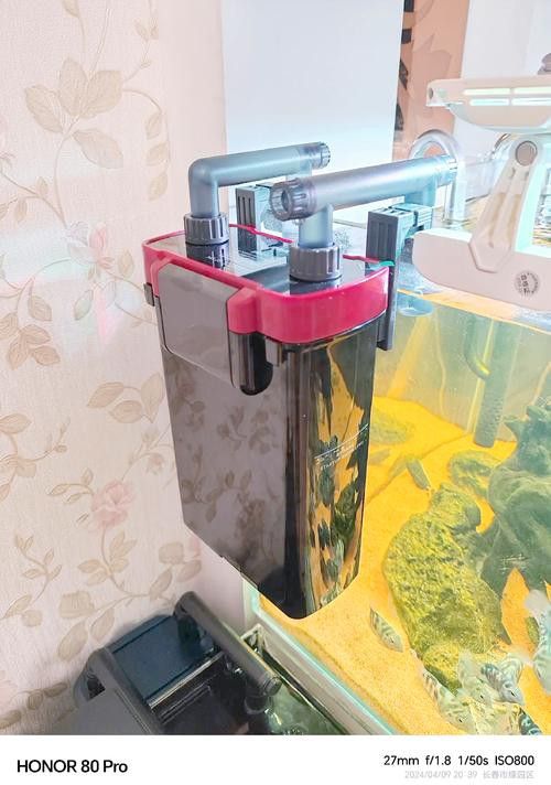 有哪些品牌過濾器適合龜增色龍魚？