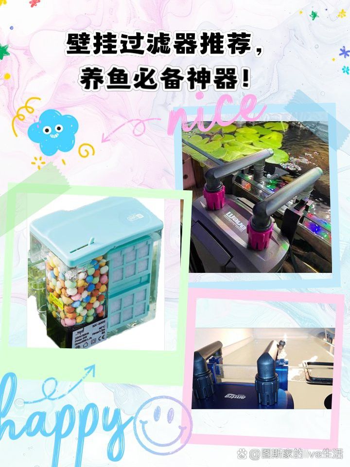 有哪些品牌過濾器適合龜增色龍魚？