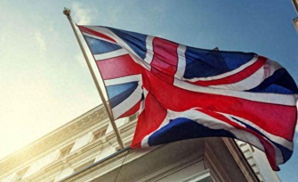 紅龍旗的其他顏色組合有哪些 紅龍旗的其他顏色組合有哪些 龍魚百科 第2張