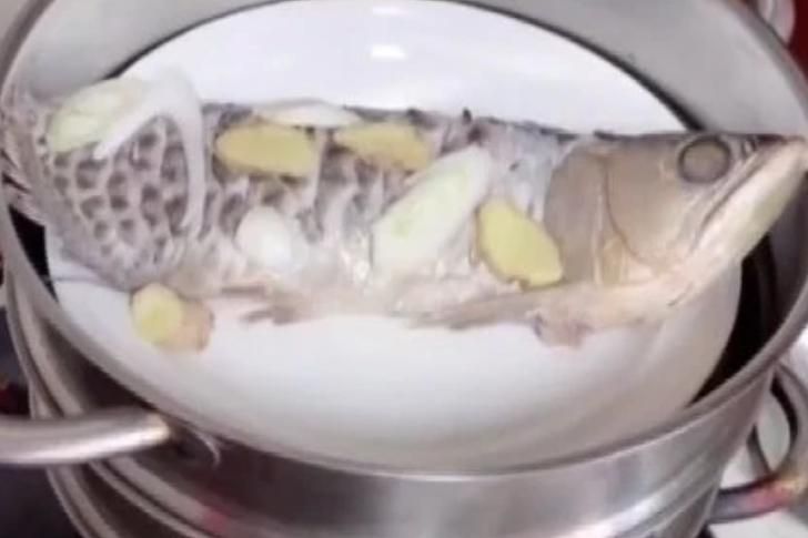 金龍魚多少錢一條金龍魚價格:有沒有金龍黃金這個牌子多少錢一克