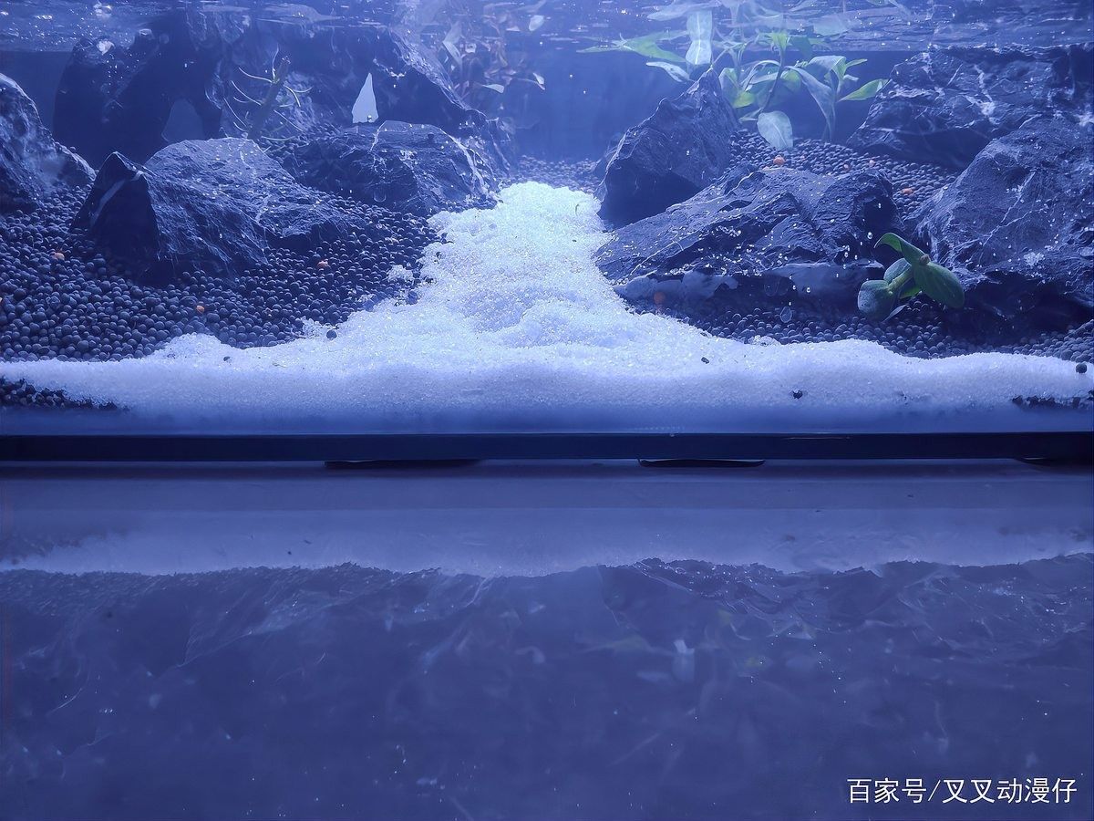 龍魚缸改草缸教程