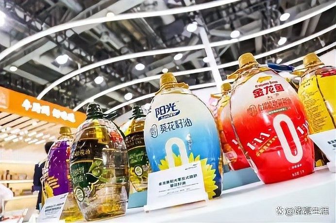 金龍魚新聞真的假的