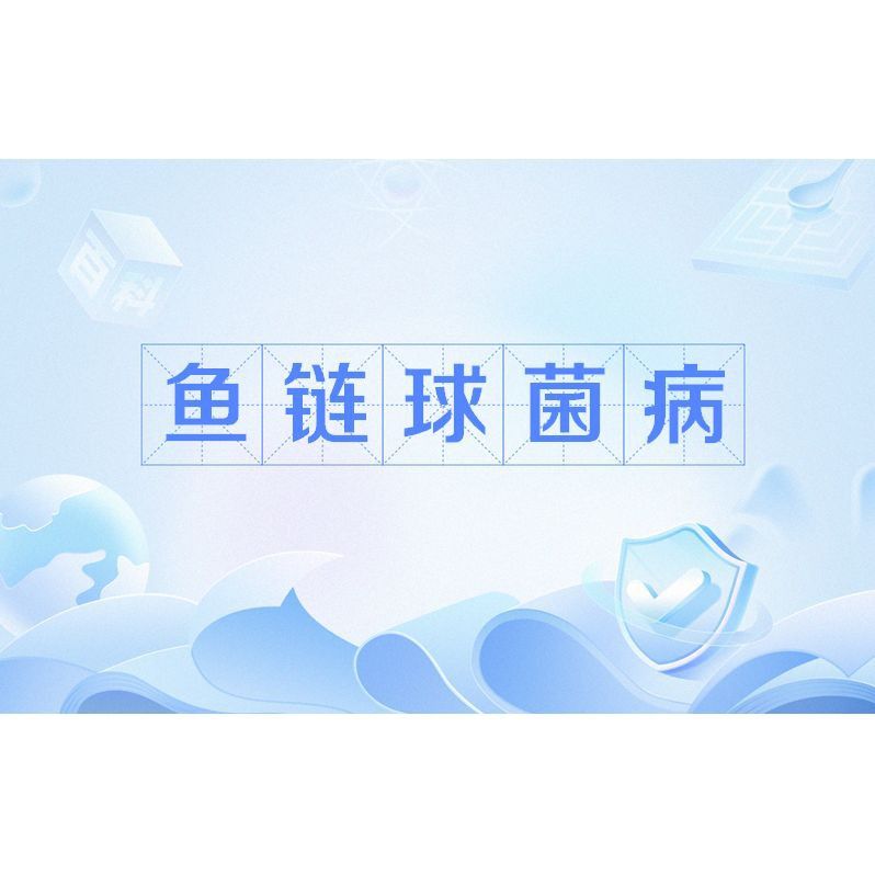 鏈球菌感染魚的癥狀