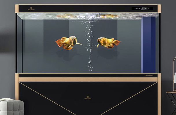 可麗愛魚缸設置（可麗愛魚缸燈光定時設置教程）