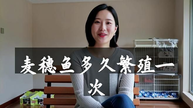 麥穗魚一年繁殖幾次