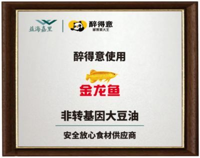 金龍魚是否可以吃了：金龍魚可以作為觀賞魚，而非食用魚，金龍魚可以吃了 金龍魚是否可以吃了：金龍魚可以作為觀賞魚，而非食用魚，金龍魚可以吃了 龍魚百科