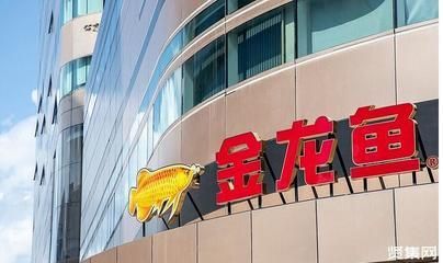 金龍魚ceo：金龍魚ceo郭孔豐是一位具有豐富經驗和卓越領導能力的企業家