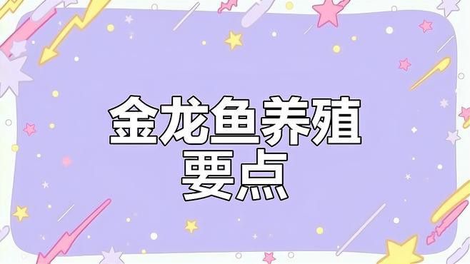 如何設(shè)置藍(lán)底高背金龍的魚(yú)缸環(huán)境？
