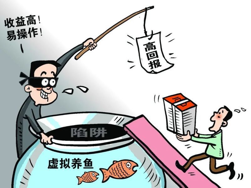 彩色銀龍魚是真的嗎