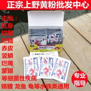 龍魚進(jìn)口特效藥是什么名字啊：龍魚治療水霉病的方法