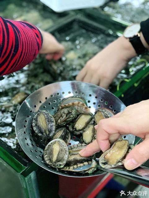 重慶哪里有賣龍魚的市場地址啊