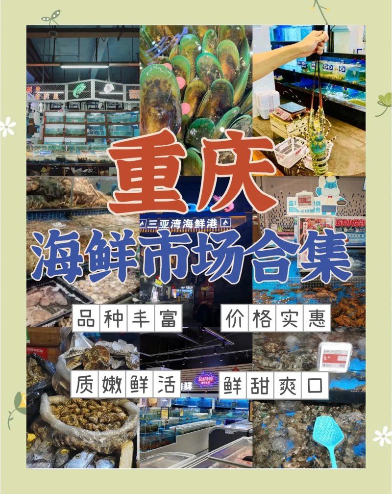 重慶哪里有賣龍魚的市場地址啊