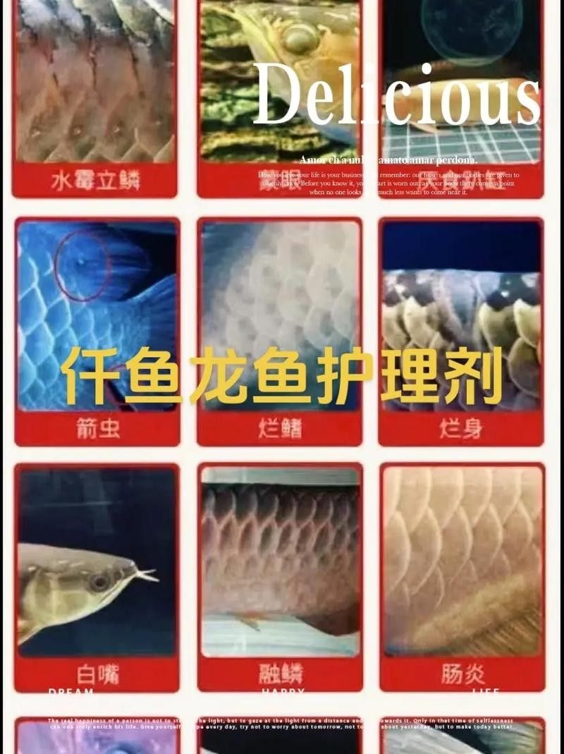 龍魚做完掉眼手術(shù)會受影響嗎圖片