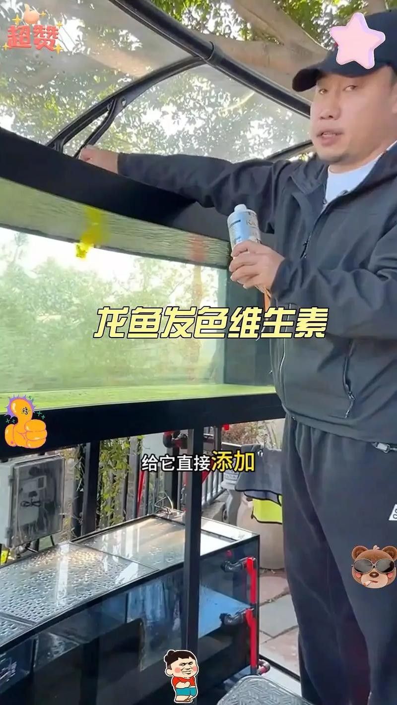 龍魚做完掉眼手術(shù)會受影響嗎圖片