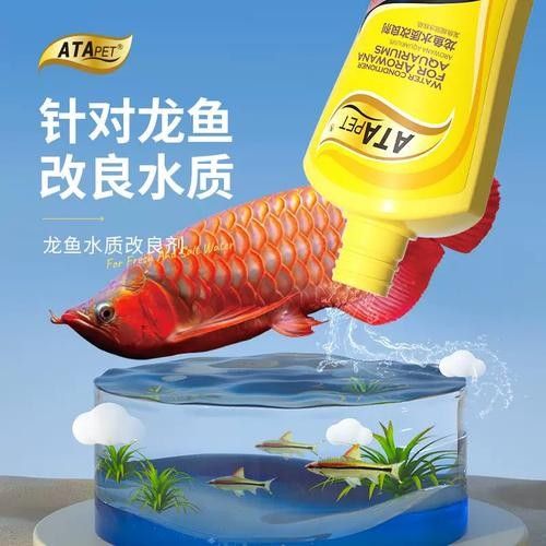 龍魚做完掉眼手術(shù)會受影響嗎圖片