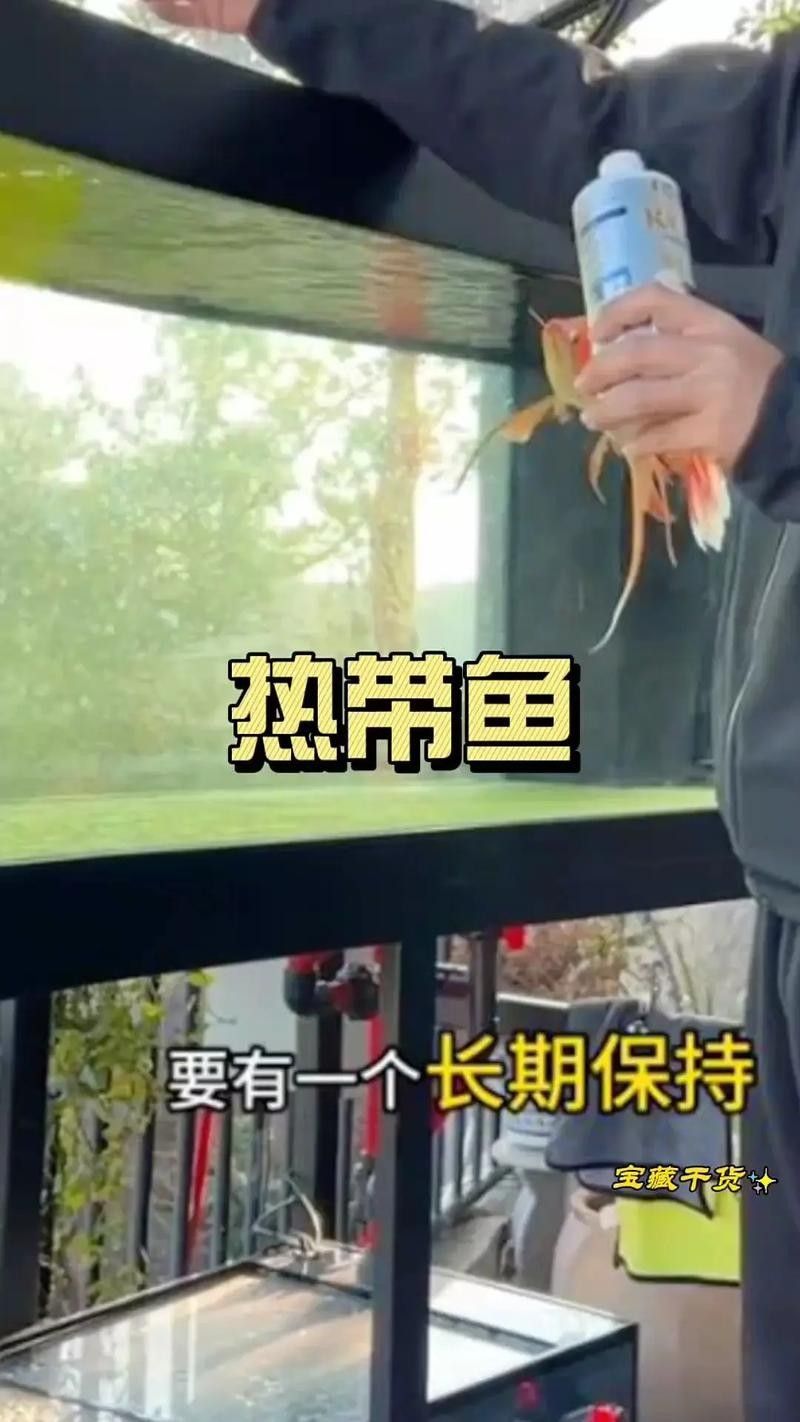 龍魚做完掉眼手術(shù)會受影響嗎圖片