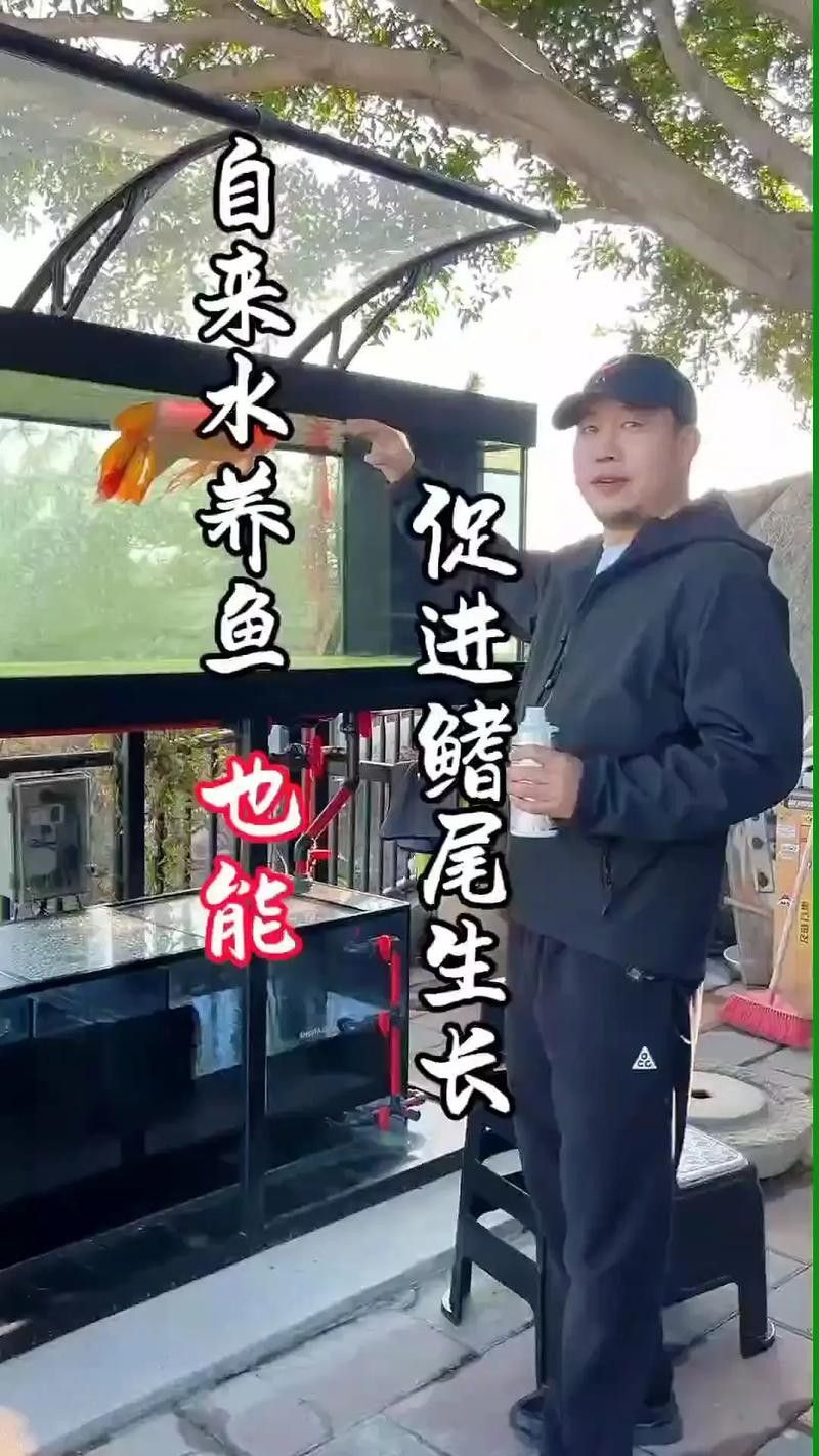 龍魚做完掉眼手術(shù)會受影響嗎圖片