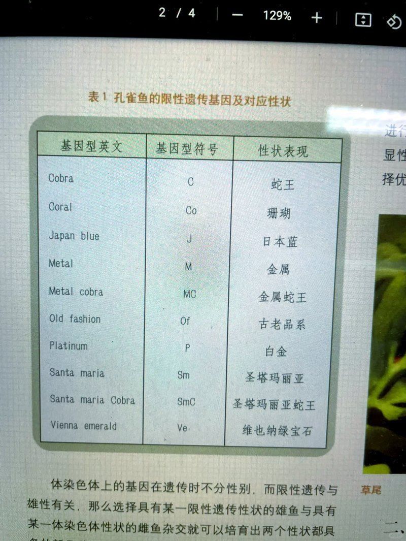 孔雀魚雜交最佳配色表