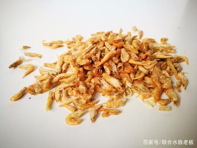 龍魚吃了不新鮮的蝦會死嗎
