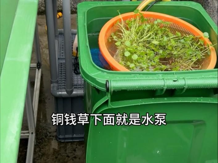 靜音水泵真的靜音嗎
