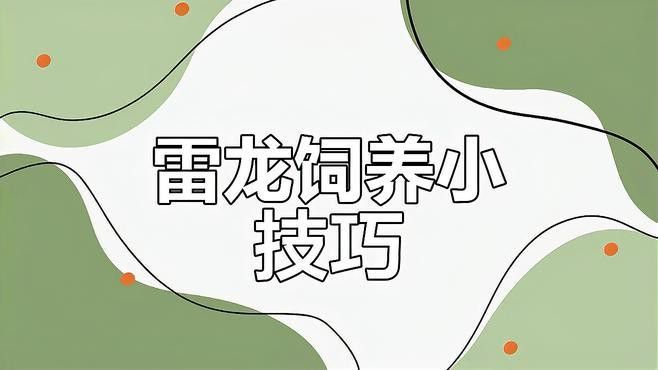 如何設置雷龍魚的過濾系統？