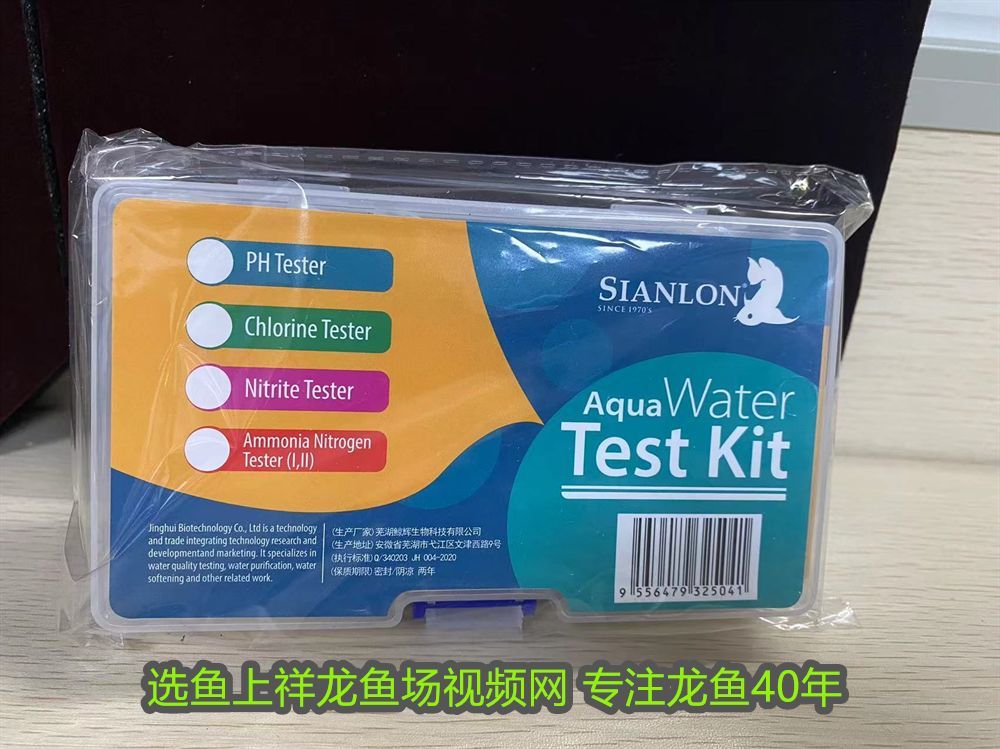 白子招財龍魚好養嗎圖片：白子招財龍魚好養嗎？全面解析飼養技巧與注意事項