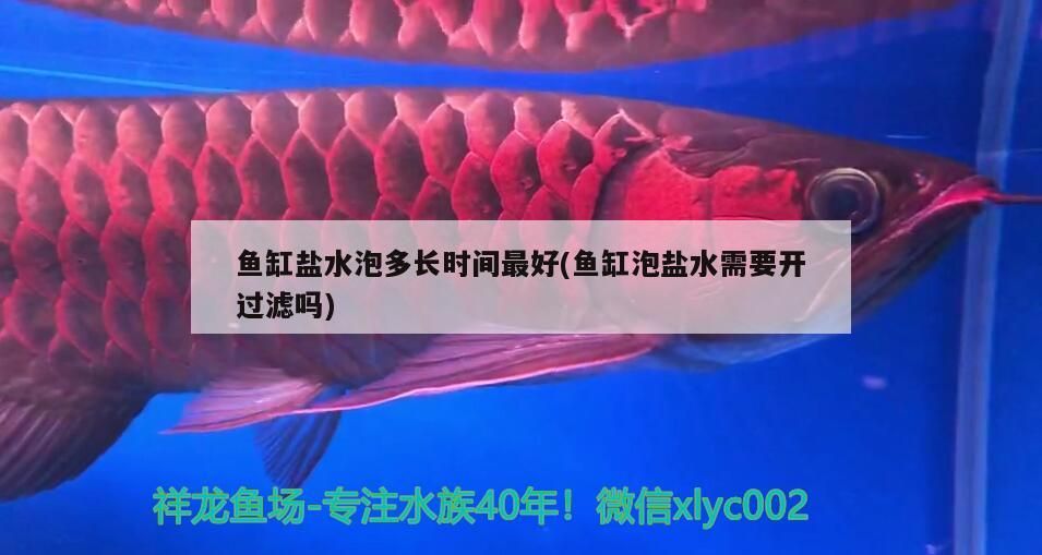 魚缸鹽水泡多長時間最好(魚缸泡鹽水需要開過濾嗎)