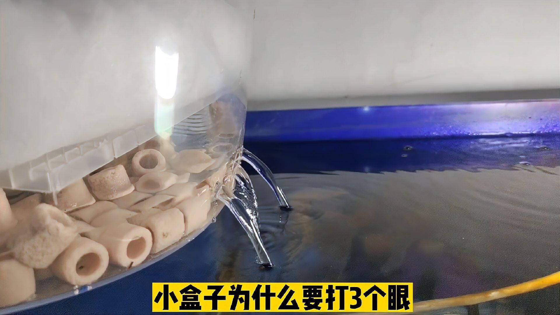 如何設置六角恐龍的過濾系統？