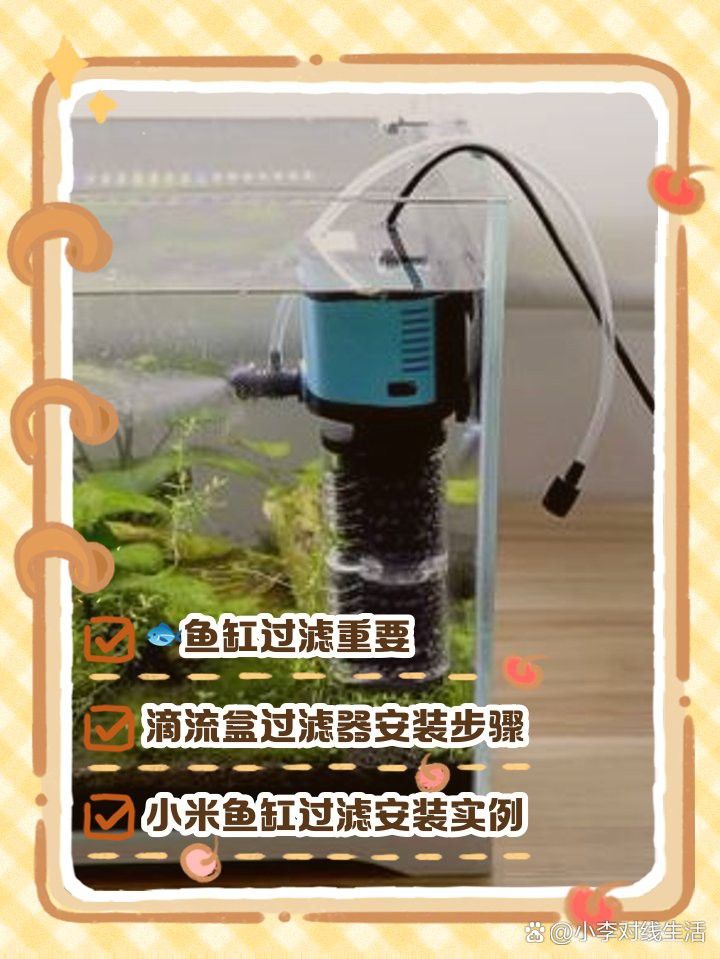 如何設置六角恐龍的過濾系統？
