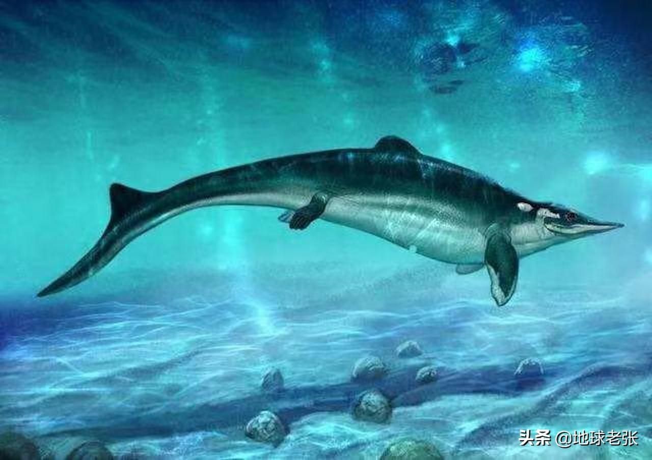 魚龍混雜是什么生肖：瑞典隆德大學地質學家對魚龍化石的研究揭示了這些遠古生物的真實面目
