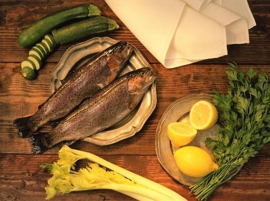 各種雷龍魚價格（各種雷龍魚的價格信息）