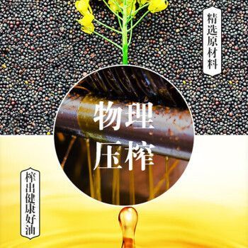大白片可以治療龍魚腸炎嗎怎么用：大白片可以治療龍魚腸炎嗎