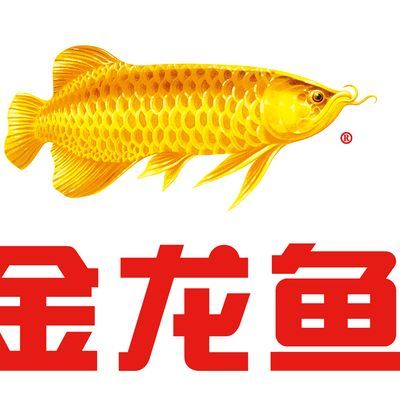 金龍魚質(zhì)檢員要求專業(yè)知識是什么（金龍魚質(zhì)檢員的工作條件）