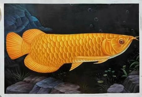 金龍魚立體畫圖片