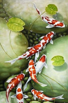 金龍魚立體畫圖片