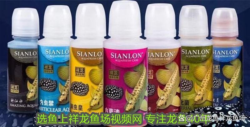 龍魚感染最怕三個藥物