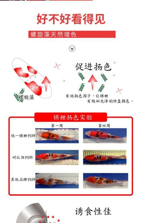 增色飼料有哪些品牌推薦？