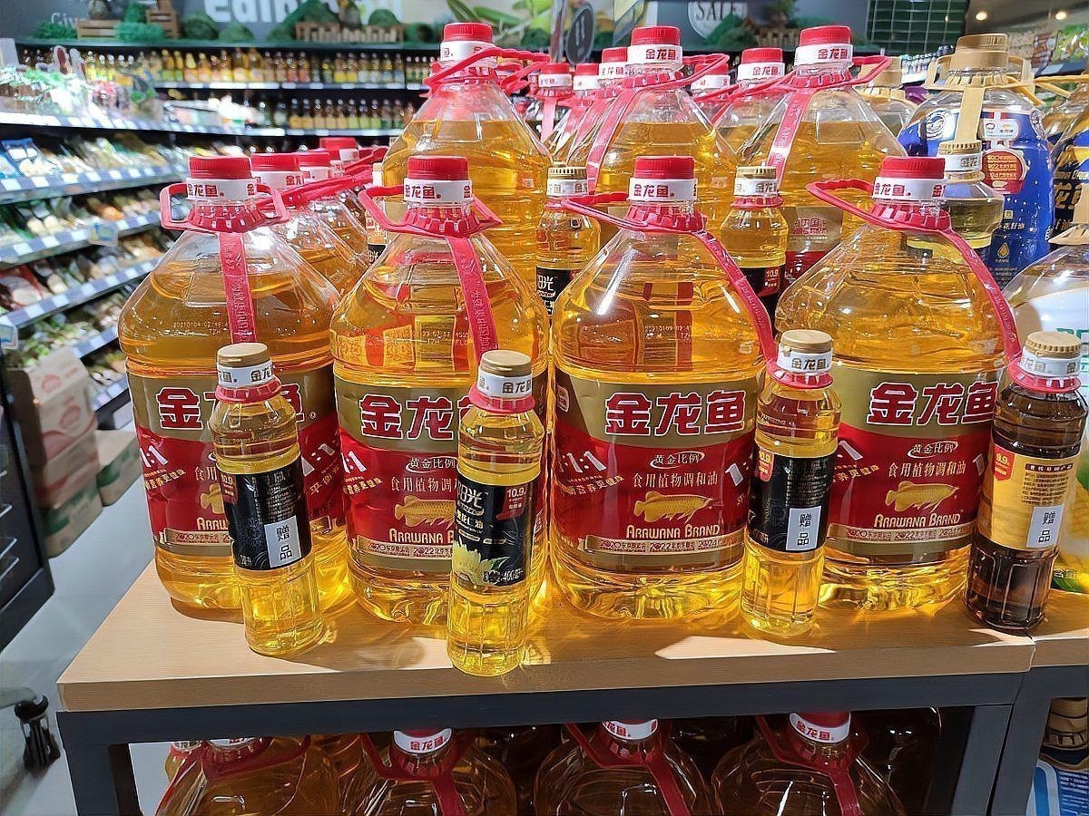 金龍魚質(zhì)量很差嗎