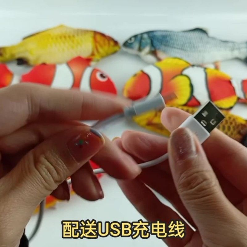 有哪些互動(dòng)玩具可以訓(xùn)練銀龍魚？