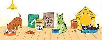 能否提供更詳細的喂食策略？