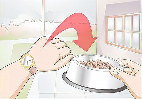 能否提供更詳細的喂食策略？