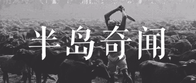 最貴紅龍魚500萬，世界上最貴的紅龍魚售價高達500萬人民幣
