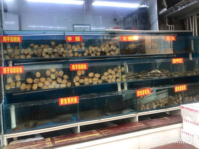 龍魚批發市場地址電話查詢大連：大連黑嘴子水產批發市場