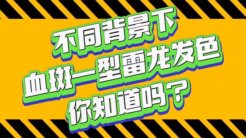 如何判斷雷龍魚是否開始發(fā)色？