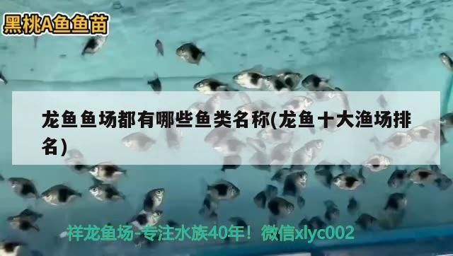 龍魚魚場都有哪些：全球知名的龍魚漁場和中國四大漁場排名