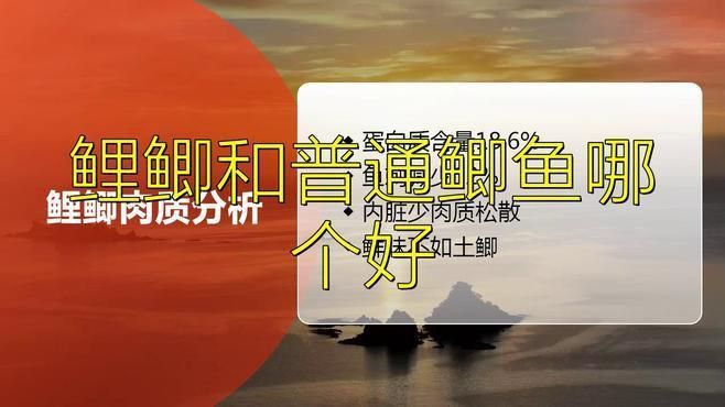 鯉鯽和普通鯽魚哪個好