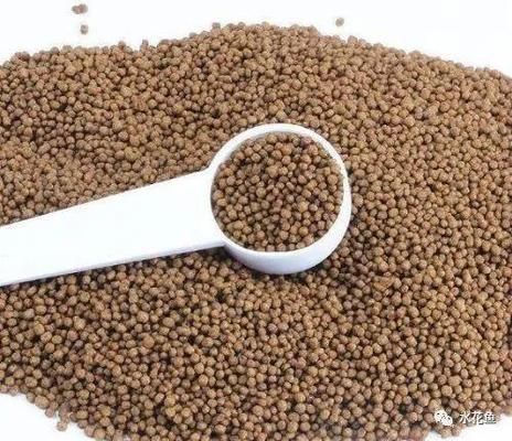 細線銀版魚繁殖期營養需求分析：細線銀版魚在繁殖期的具體營養需求分析