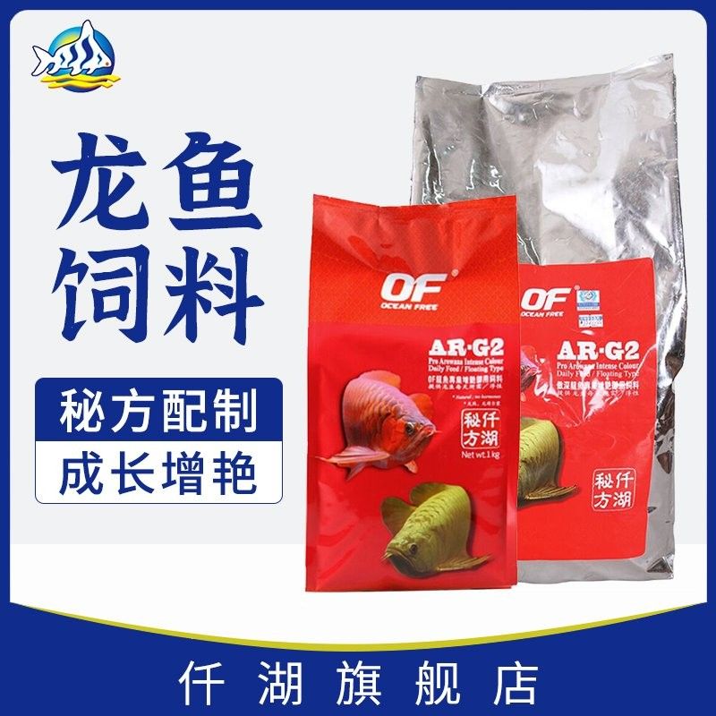 龍魚可以吃銀魚嗎圖片大全