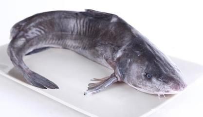 魚苗疾病治療的注意事項：在治療魚苗疾病時應注意的關鍵點，以確保養殖環境的穩定性和健康